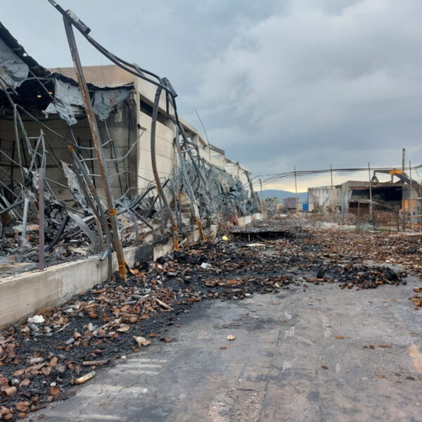 Fabrika sokum 113 600x600